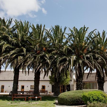 Springfontein Wine Estate Hotel Stanford Exterior foto