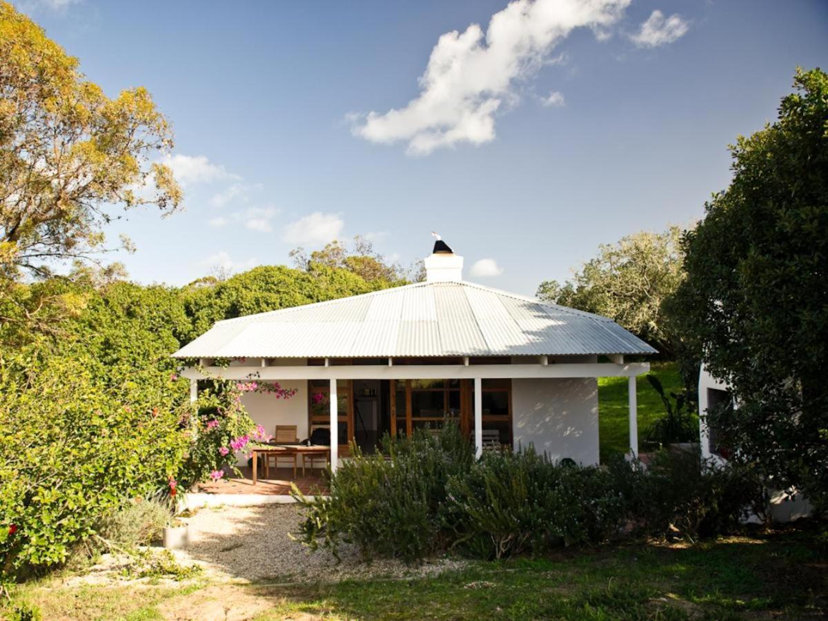 Springfontein Wine Estate Hotel Stanford Quarto foto
