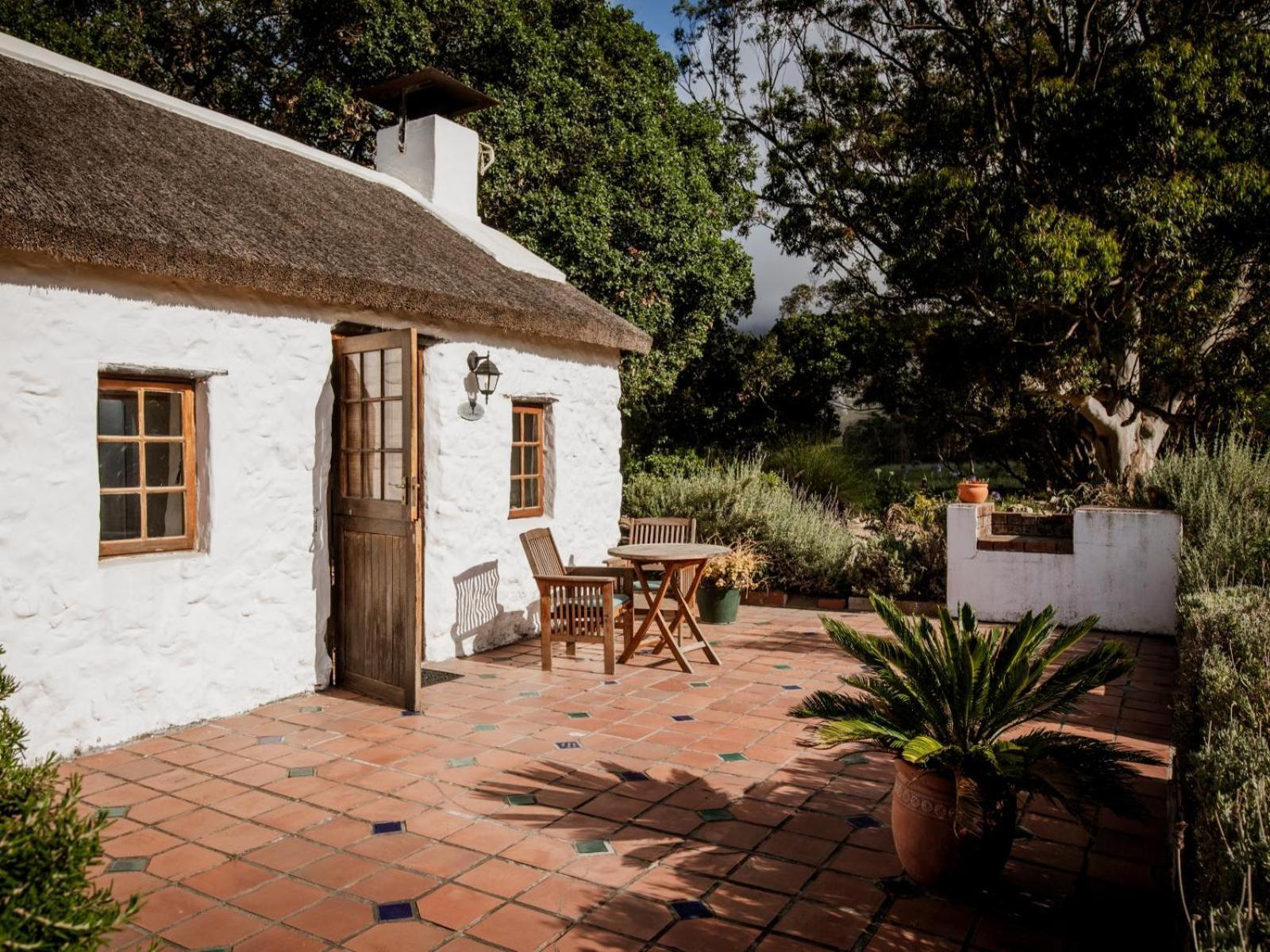 Springfontein Wine Estate Hotel Stanford Exterior foto