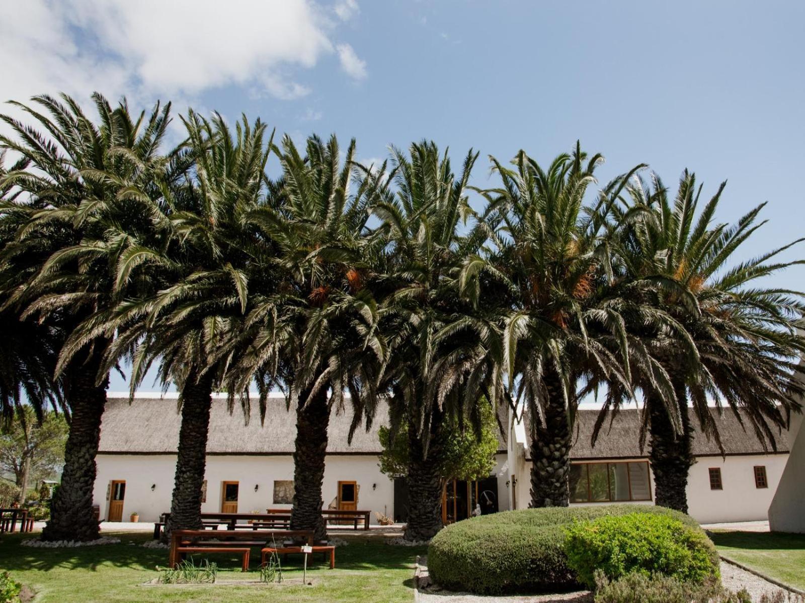 Springfontein Wine Estate Hotel Stanford Exterior foto
