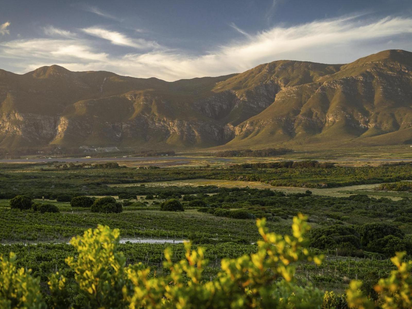 Springfontein Wine Estate Hotel Stanford Exterior foto