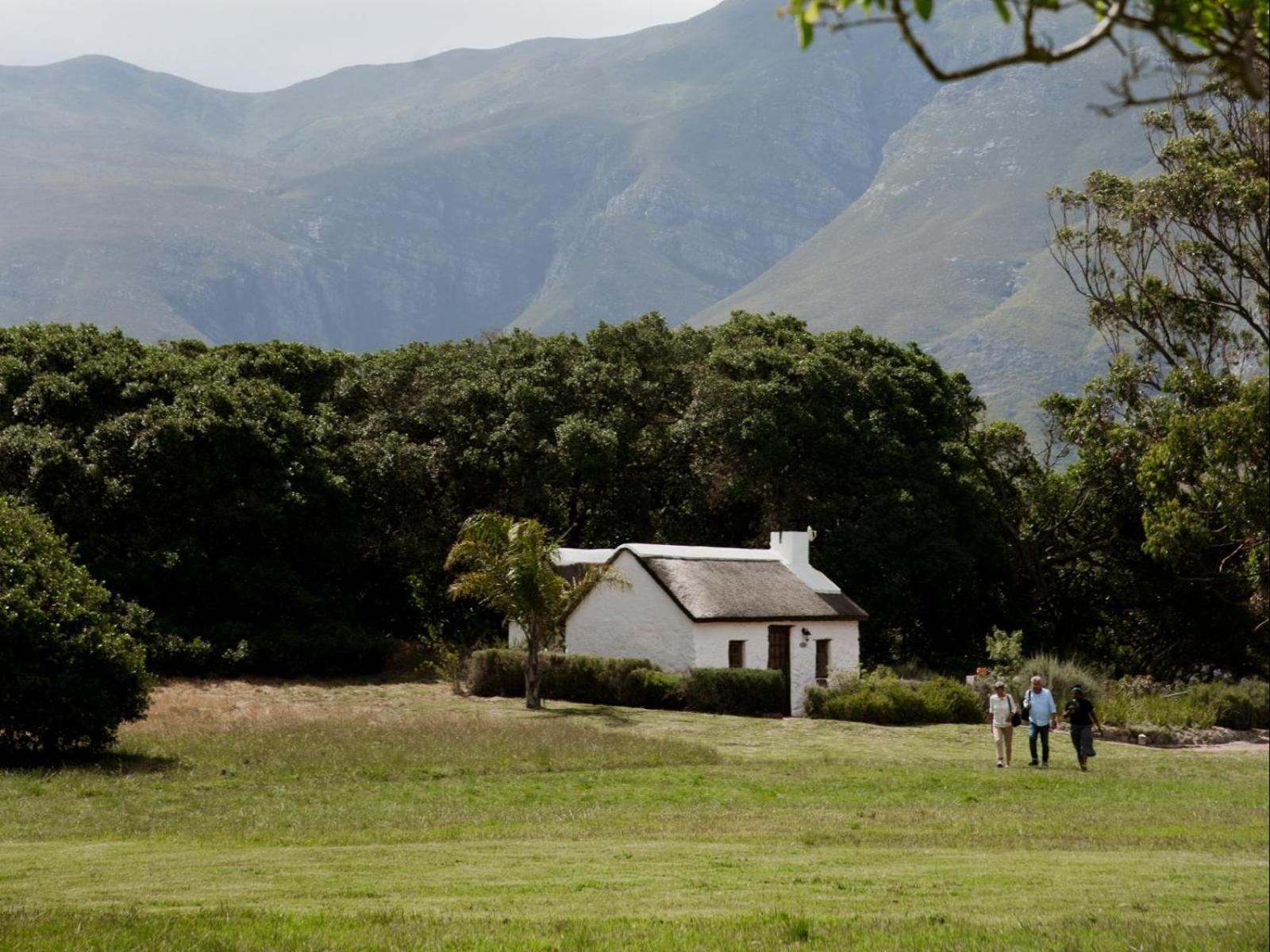 Springfontein Wine Estate Hotel Stanford Exterior foto